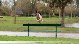 Elodie DEVAYE - CLIC N' REC